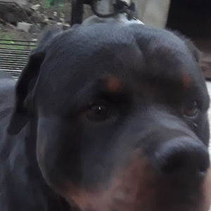 Meet your Posher, Eddie!!!!!